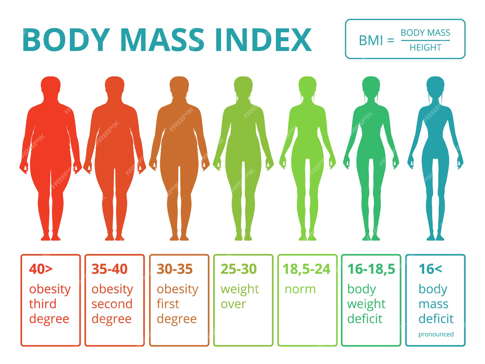 Premium Vector | Medical infographics with illustrations of female body