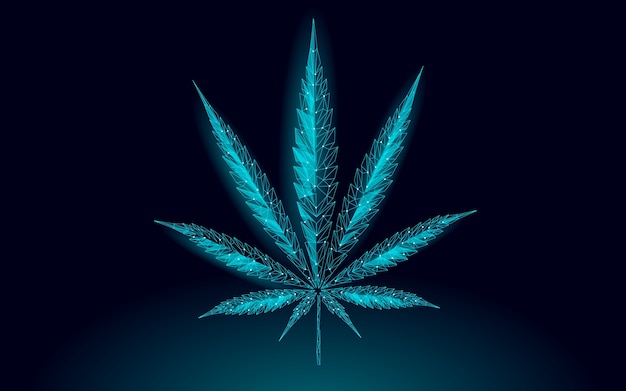 Легализуй марихуану установка tor browser на windows hydra2web