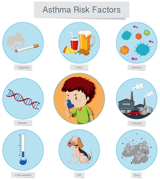 Premium Vector | Medical vector asthma risk factors