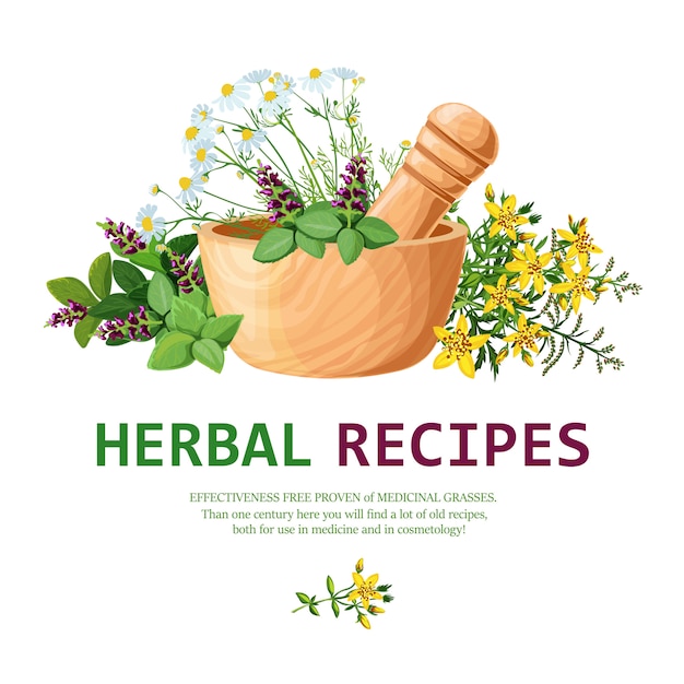 Download Free Vector | Medicinal herbs in mortar illustration