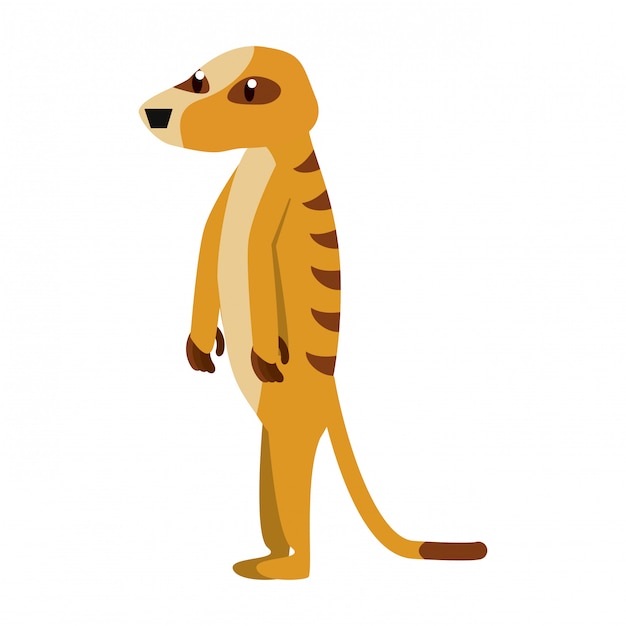 Premium Vector | Meerkat wild animal