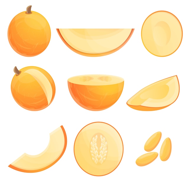 Premium Vector | Melon set, cartoon style