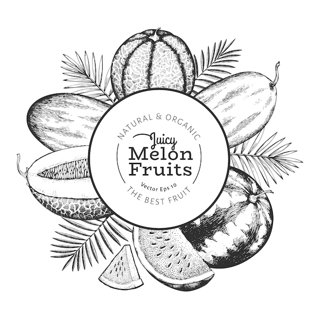 熱帯の葉とメロンとスイカ 手描きのベクトルのエキゾチックなフルーツのイラスト 刻まれたスタイルのフルーツ レトロな植物のフレーム プレミアムベクター