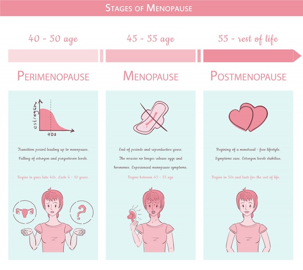 Premium Vector | Menopause stages. medical graphic concept with timeline