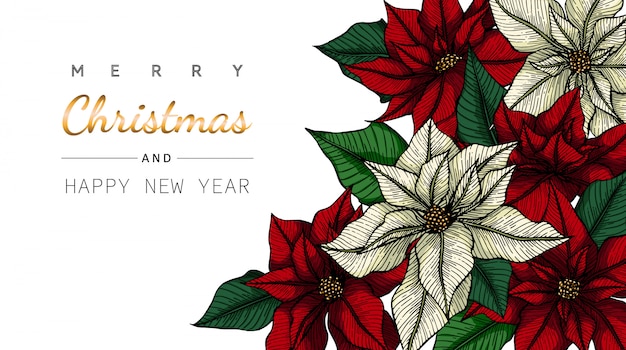 メリークリスマスと新年の背景と花と葉のイラストを描いたグリーティングカード プレミアムベクター