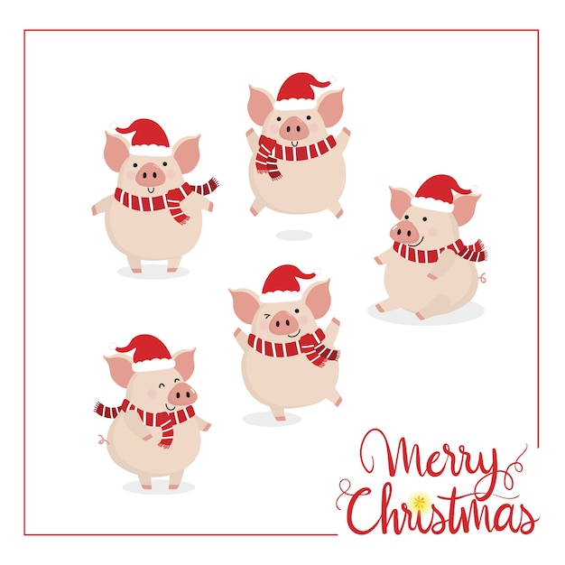 Download Premium Vector | Merry christmas with cute pig.
