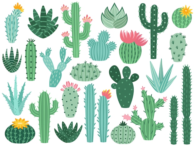 Premium Vector Mexican Cactus And Aloe Desert Spiny Plant Mexico Cacti Flower And Tropical Home Plants Isolated Collection