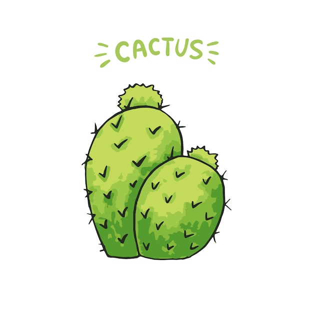 Free Vector Mexican Cactus