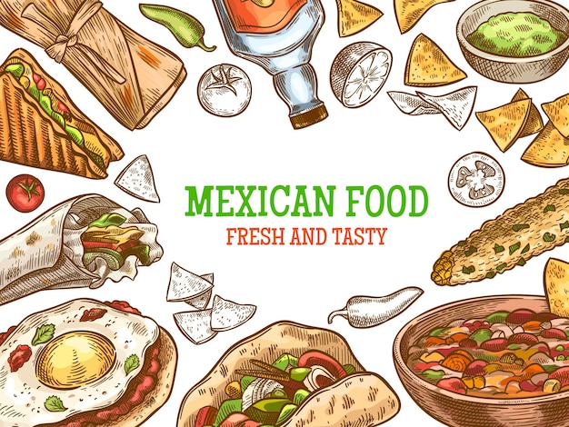 Download Premium Vector | Mexican food. hand drawn traditional mexican tequila and dishes, burrito, tacos ...