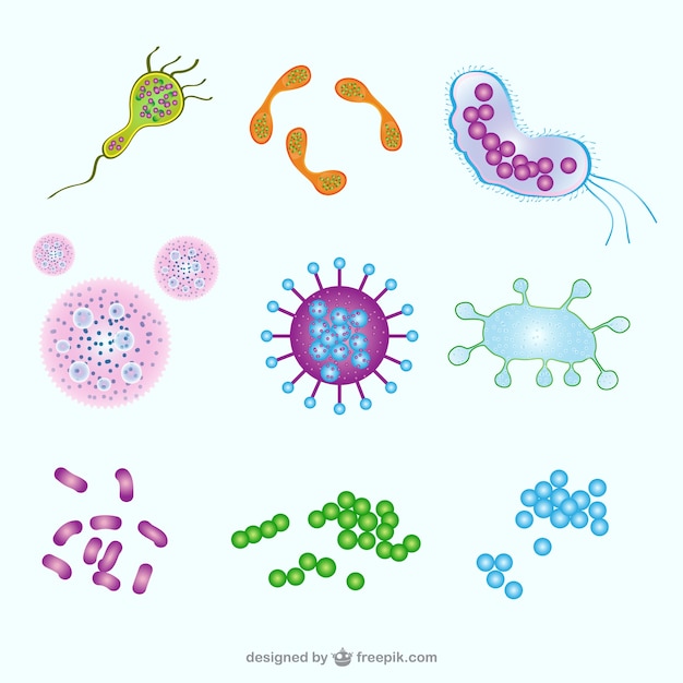 Microorganism illustration Vector | Free Download