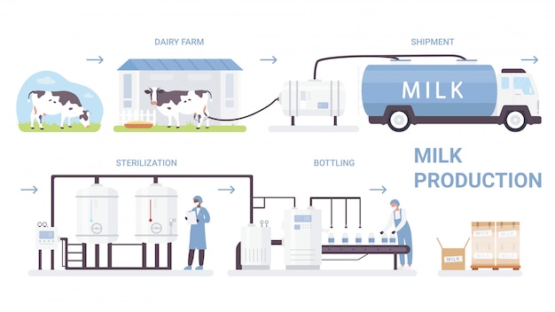 牛乳瓶の製造工程のイラスト 自動化された乳製品工場の加工ラインと漫画インフォグラフィックポスター 低温殺菌を行い 白の牛乳製品を瓶詰め プレミアムベクター