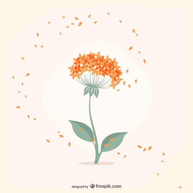 Minimal flower with orange small petals