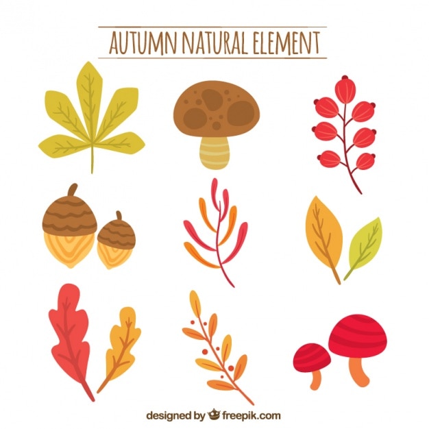 Free Vector | Minimalist autumn elements