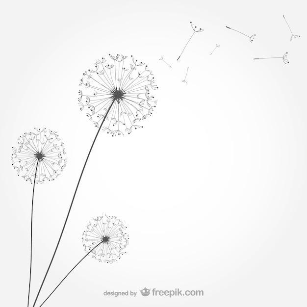 Free Printable Dandelion Clip Art