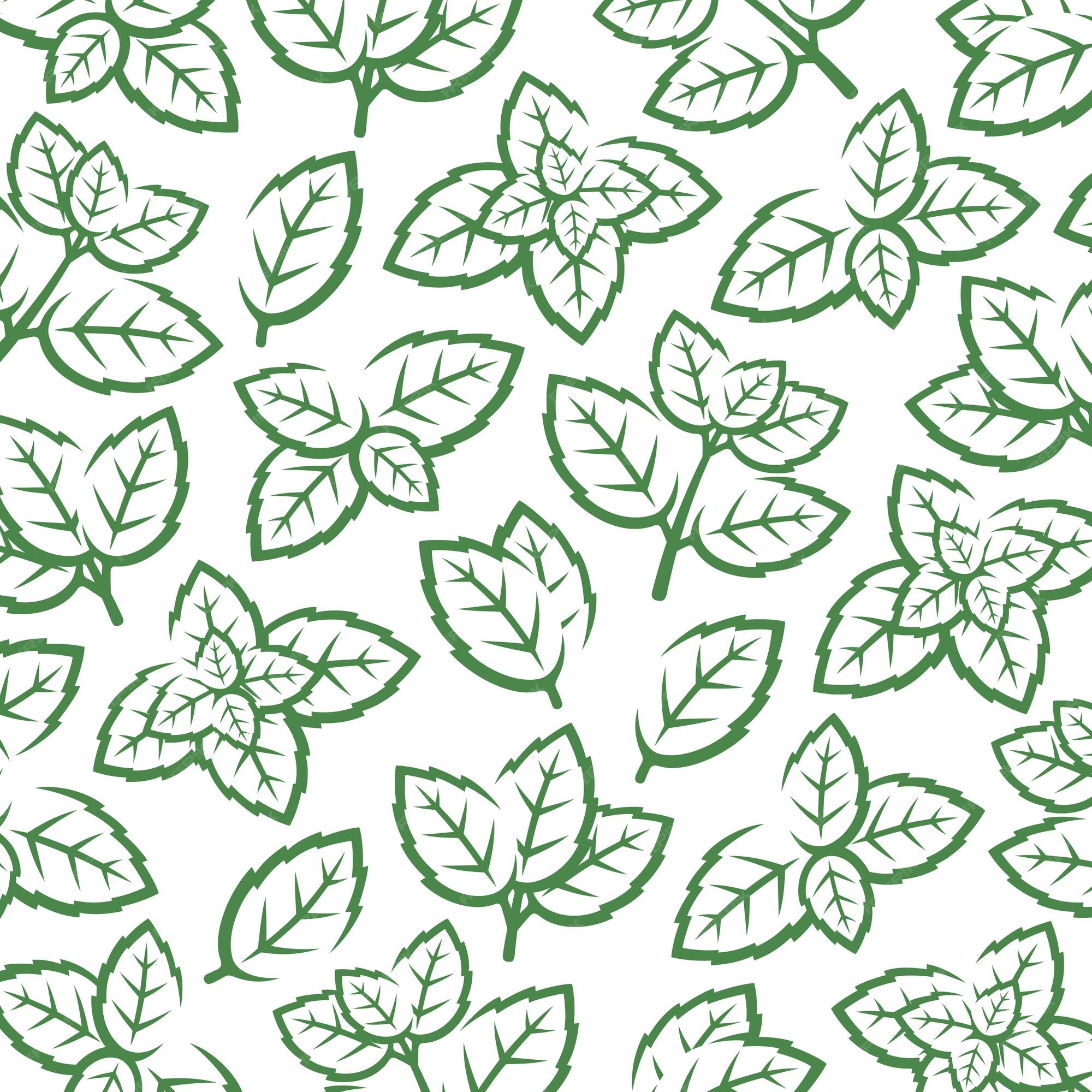 Premium Vector | Mint leaves pattern background collection mint leaves ...