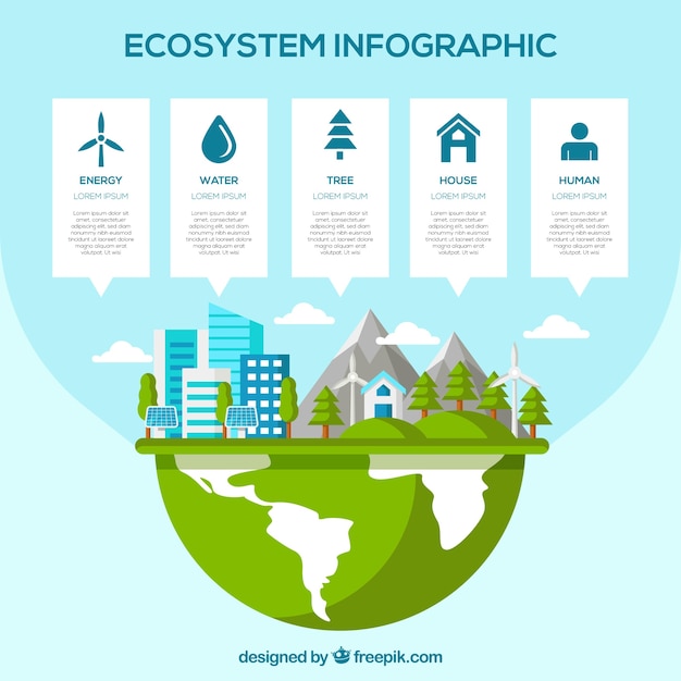 Modern ecosystem infographic with flat design Vector Free Download