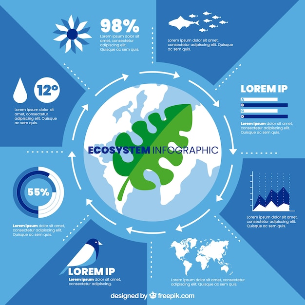 Modern ecosystem infographic with flat design Vector | Free Download