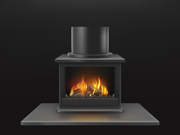 Modern Fireplace With Burning Wooden Logs Flame Inside Metallic