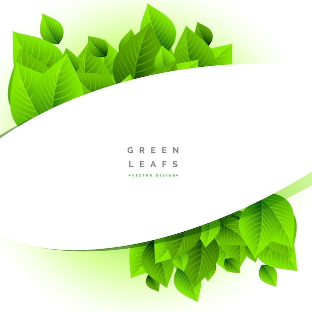 Premium Vector Modern green leaves design