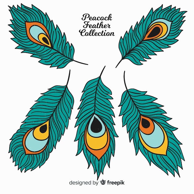Download Modern hand drawn peacock feather collection Vector | Free ...
