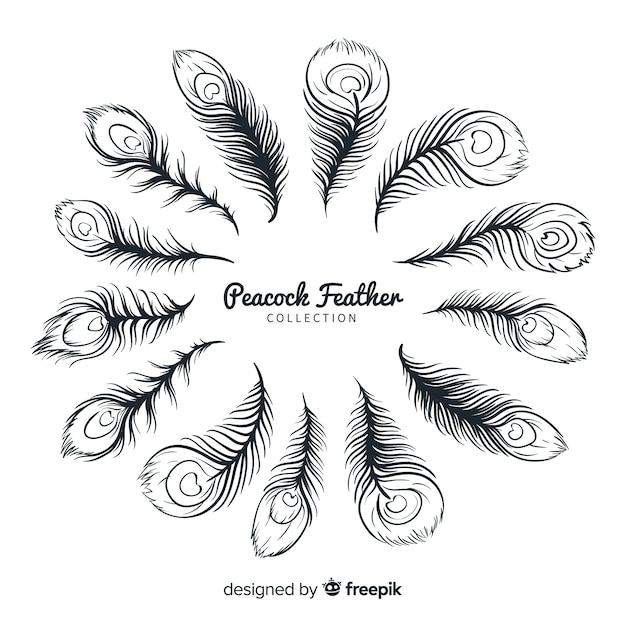 Download Free Download This Free Vector Modern Hand Drawn Peacock Feather Use our free logo maker to create a logo and build your brand. Put your logo on business cards, promotional products, or your website for brand visibility.