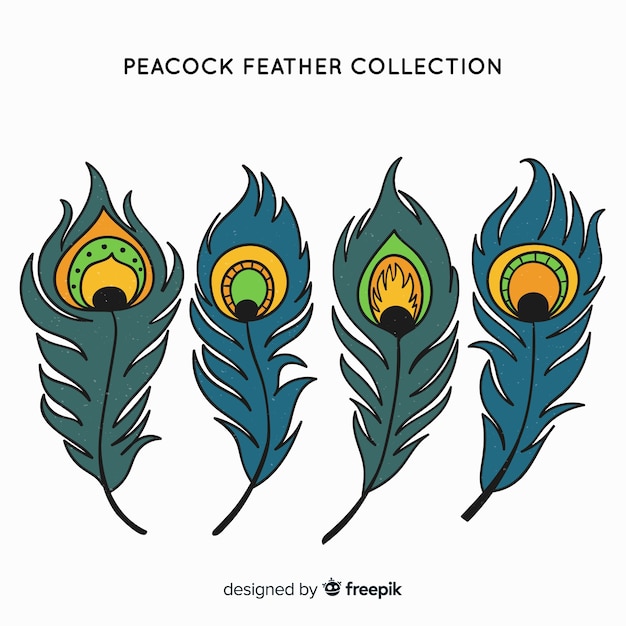 Free Vector Modern Hand Drawn Peacock Feather Collection