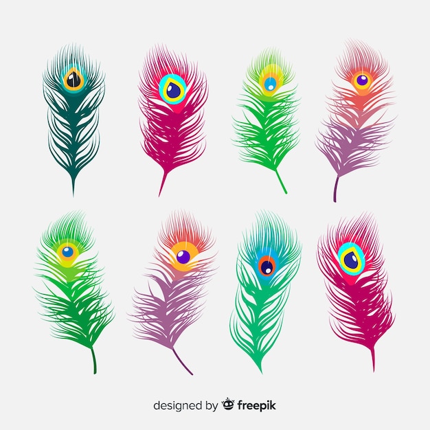 Modern hand drawn peacock feather collection | Free Vector