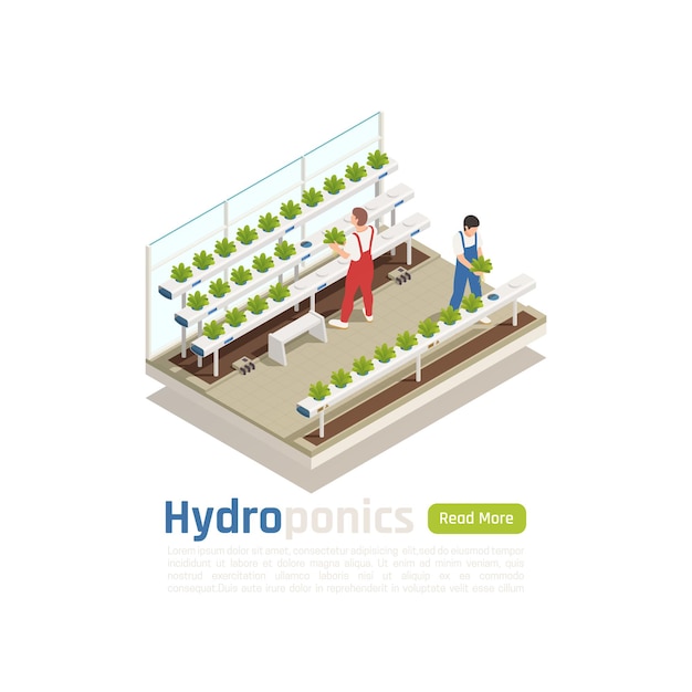 Download Free Vector | Modern hydroponic greenhouse isometric composition with 2 workers checking plants ...