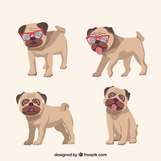 cool pugs