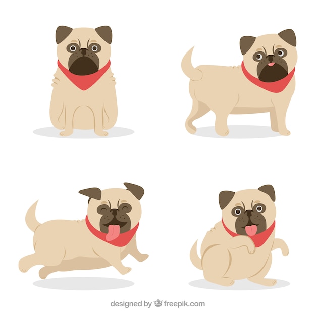 pug template define attributes