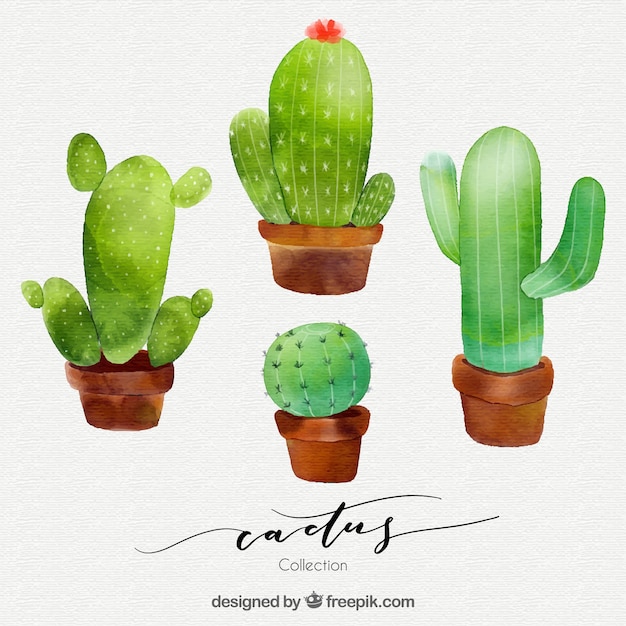 Modern set of watercolor cactus Vector | Free Download