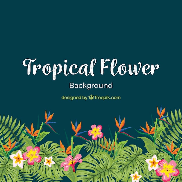 Modern water color tropical flower
background