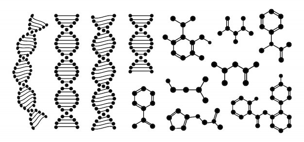 分子構造化学原子フラットグリフセット 抽象的な構造dna分子 化学科学 分子構造 実験室細胞タンパク質の黒いシルエット 図 プレミアムベクター