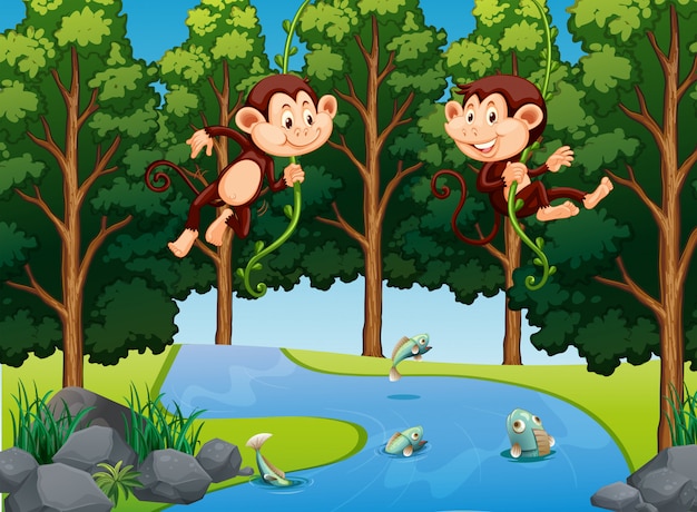 Premium Vector | Monkey hanging on vine in forest