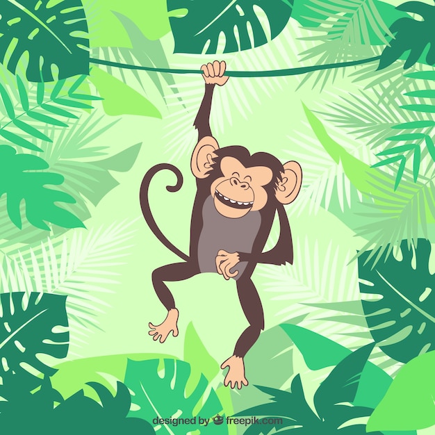 Free Vector Monkey Illustration