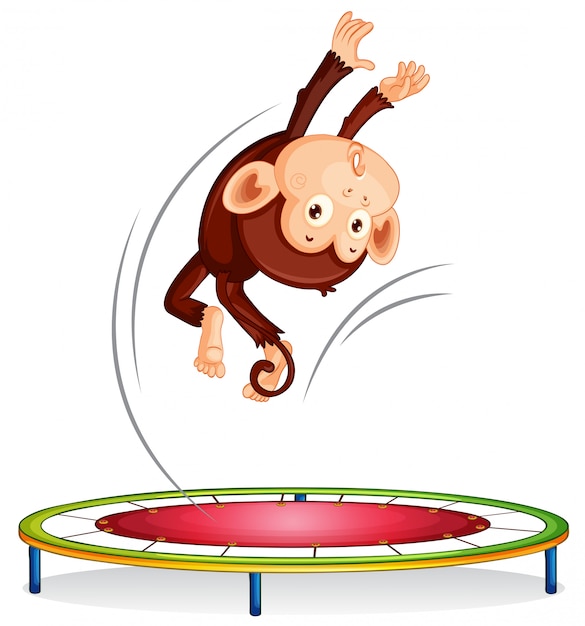 monkey jump toy