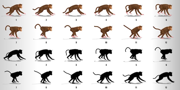  Monkey run cycle animation sequence vector Premium Vector