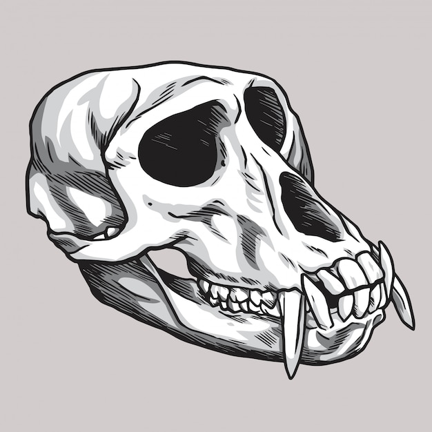 Premium Vector Monkey skull handdrawn drawing vector illustration