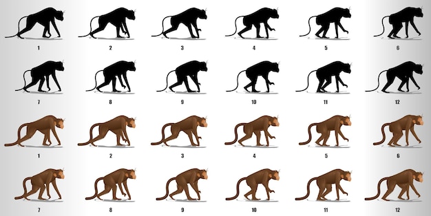  Monkey walk cycle animation frames loop animation sequence sprite sheet Premium Vector