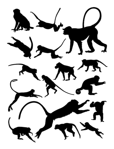 Free Free 189 Silhouette Monkey Svg Free SVG PNG EPS DXF File