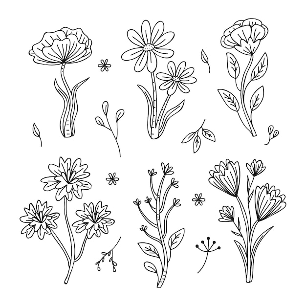 Free Vector Monochromatic Draw Of Spring Flowers Collection