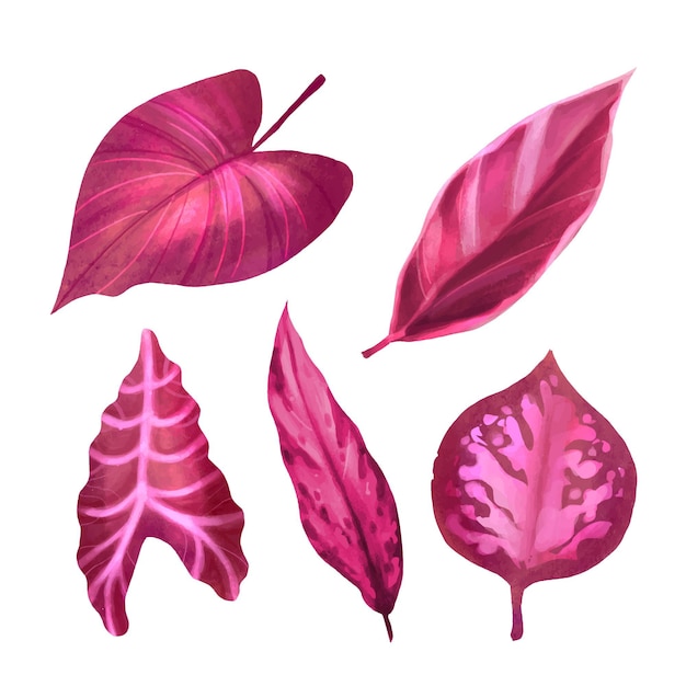 Free Vector Monochromatic Tropical Leaves 6050