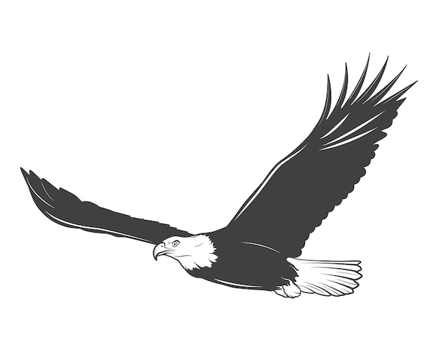 Premium Vector | Monochrome eagle isolated on white