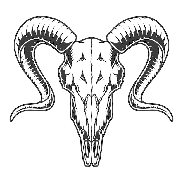 モノクロのヤギの頭蓋骨の図 無料のベクター