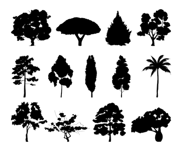 さまざまな木のシルエットのモノクロイラスト 葉を持つ黒い木 プレミアムベクター