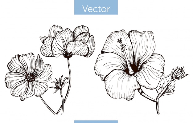 花の 線画 画像 無料のベクター ストックフォト Psd