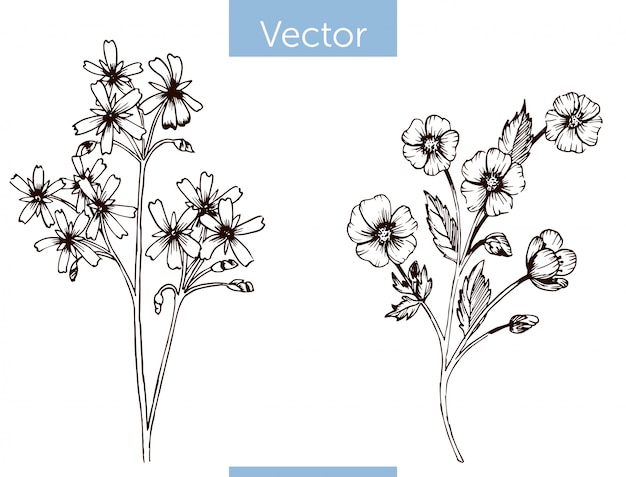 花の 線画 画像 無料のベクター ストックフォト Psd