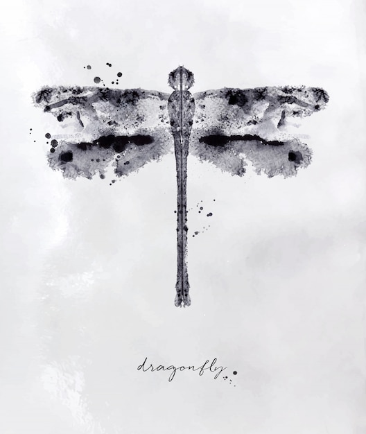 Monotype dragonfly drawing with black and white on paper background Premium Vector
