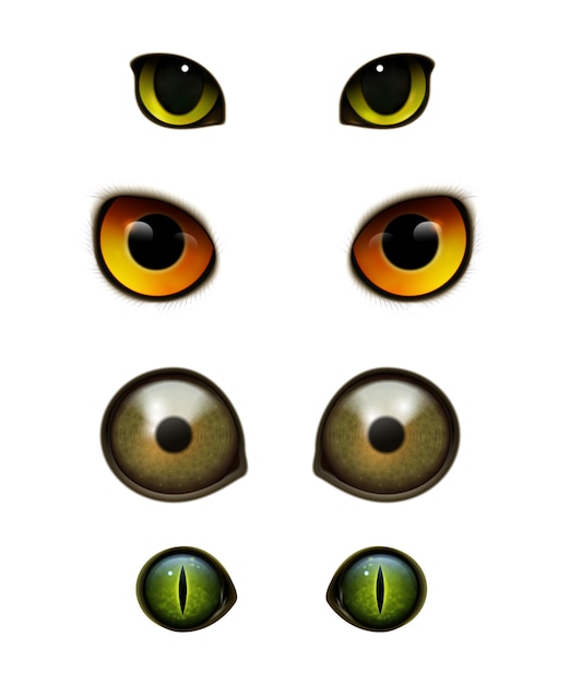 Download Monster animals cats realistic eyes Vector | Free Download