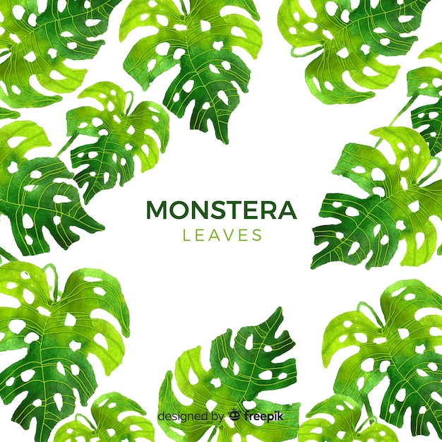 Download Monstera leaves Vector | Free Download